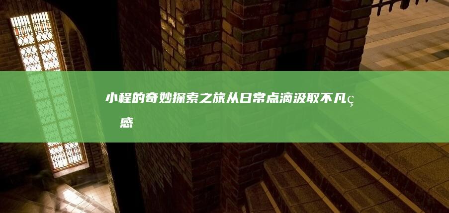 小程的奇妙探索之旅：从日常点滴汲取不凡灵感